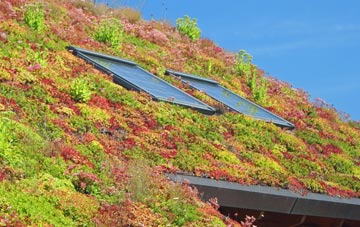 Enochdhu living roof systems