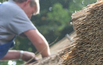 professional Enochdhu thatchers