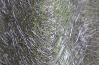 Enochdhu fibreglass roof work